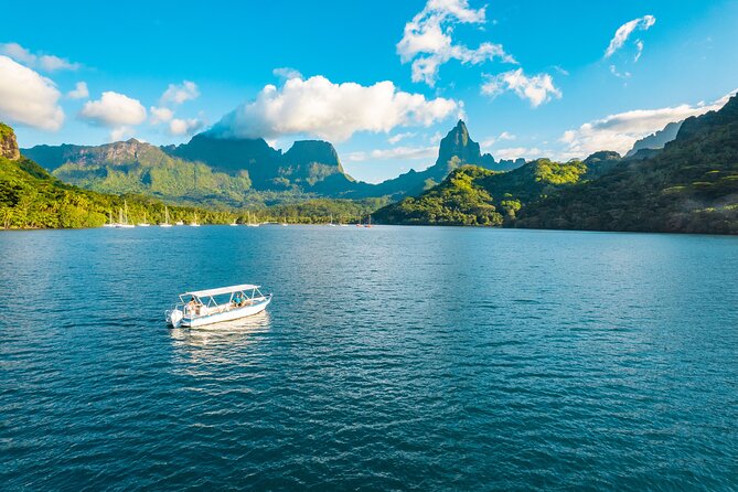 Half Day / Private Lagoon Adventure in Mo'orea - What the $668.05 private price really means