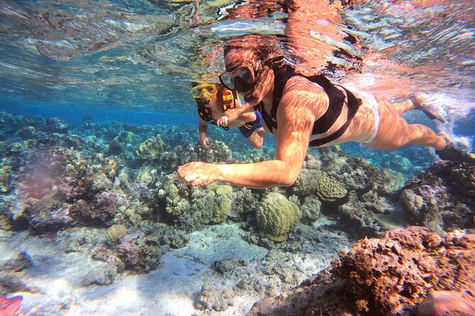 Half Day / Private Lagoon Adventure in Mo'orea - Who will enjoy this four-hour outing most