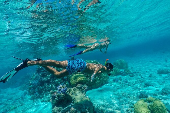 Half Day Private Lagoon Snorkeling Experience - Starting at 9:00 a.m. with a private boat