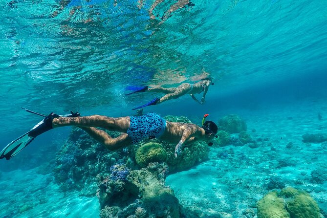 Half-Day Private Luxury Tour from Bora Bora - Why this private Bora Bora tour feels different