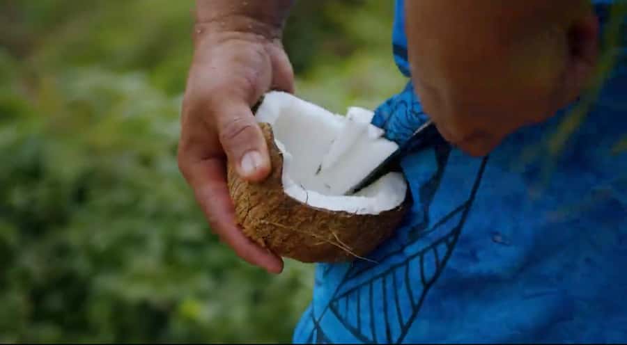 Half day Private tour of Moorea Safari Albert Pick up hotel - Why this private Moorea safari works