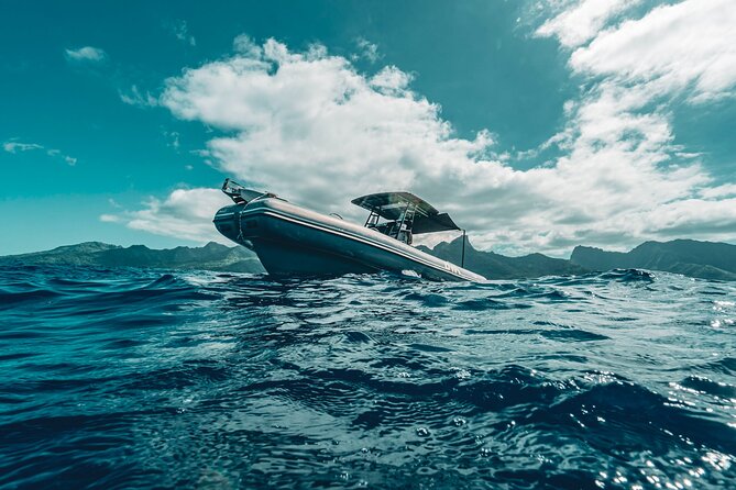Half Day Private Whale Watching in Moorea - Four private hours on Moorea’s open water