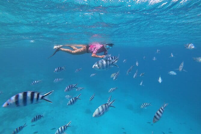 Half-Day Sailing Trip on the Lagoon of Tahiti Comments - Is $140.90 a fair price?