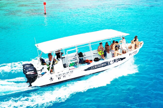 Half Day Snorkeling in Moorea - Key points to know before booking