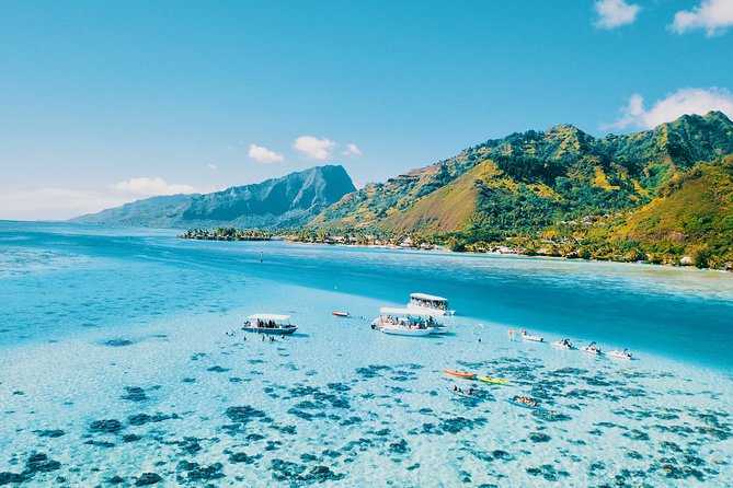 Half Day Snorkeling in Moorea - The morning begins at 8:30