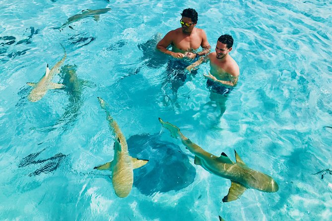 Half Day Snorkeling in Moorea - Cook’s Bay and Opunohu Bay set the scene
