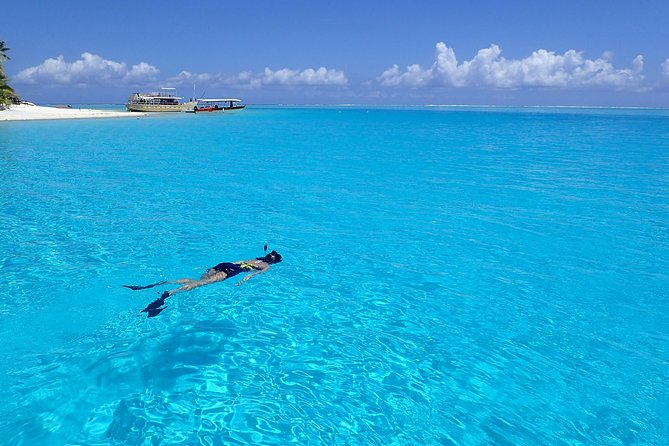 Half day Snorkeling Shared Boat Tour in Bora Bora - Stop three: the coral garden
