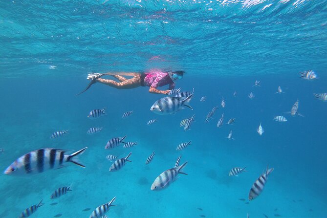 Half-Day Snorkeling Tour in Tahiti - The lagoon break: fruit, juice, water, and beer
