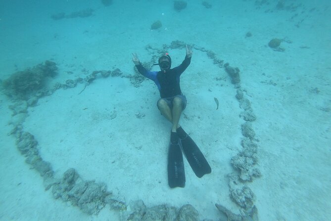 Half-Day Snorkeling Tour in Tahiti - Who will enjoy this tour most