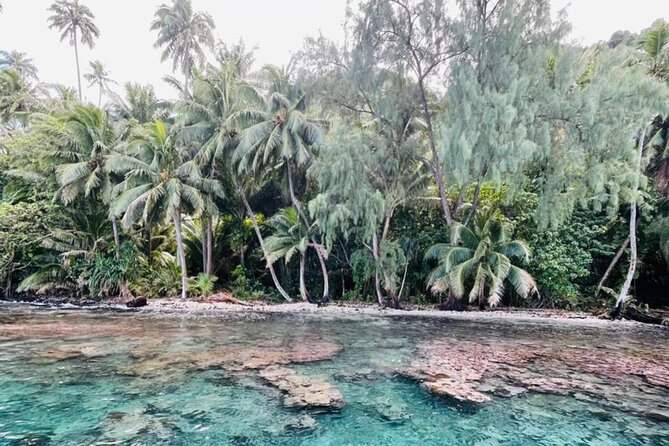 Half day Tahiti Peninsula and Teahupoo boat tour (shared boat) - Why this southern Tahiti boat trip is different