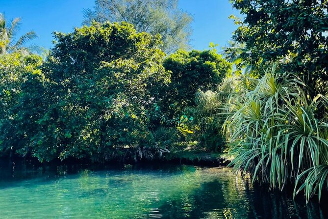 Half day Tahiti Peninsula and Teahupoo boat tour (shared boat) - Cruising past the road into Fenua Aihere