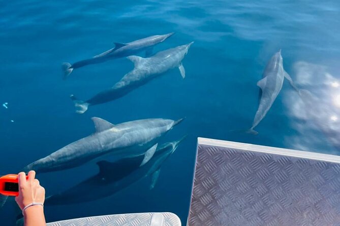 Half day Tahiti Peninsula and Teahupoo boat tour (shared boat) - What the $255.07 price includes