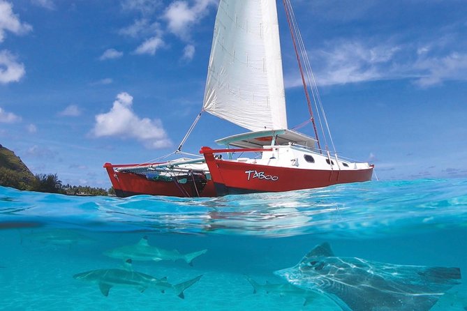 Half Day Tour : Moorea Snorkeling & Sailing on a Catamaran named Taboo - Key points to know before you book