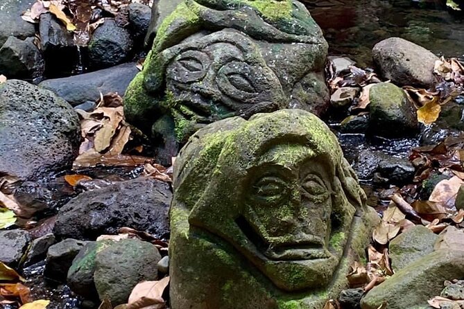 Half-Day Tour of Moorea Island in a Small Group - Ōpūnohu Bay and the old Moorea
