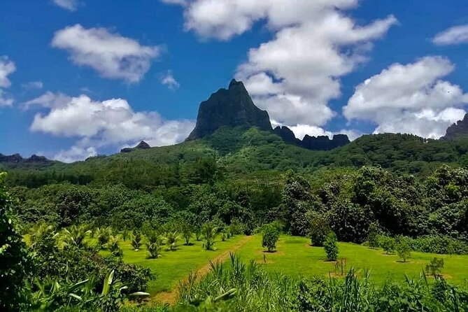 Half-Day Tour of Moorea Island in a Small Group - Guides make the difference