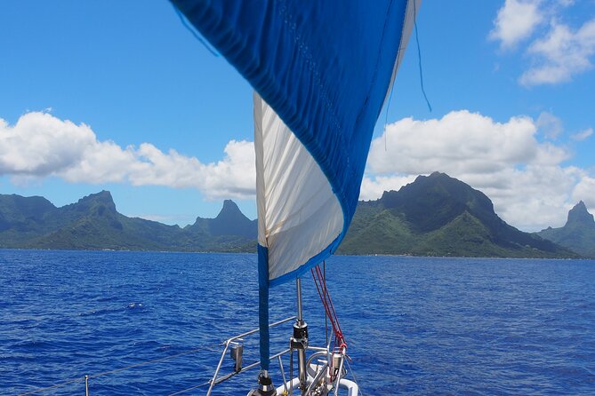 Half day whale watching - Without launch - What the four-hour outing can feel like