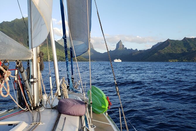 Half day whale watching - Without launch - Private pricing and who gets good value