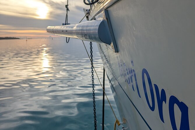 Half day whale watching - Without launch - My practical booking advice