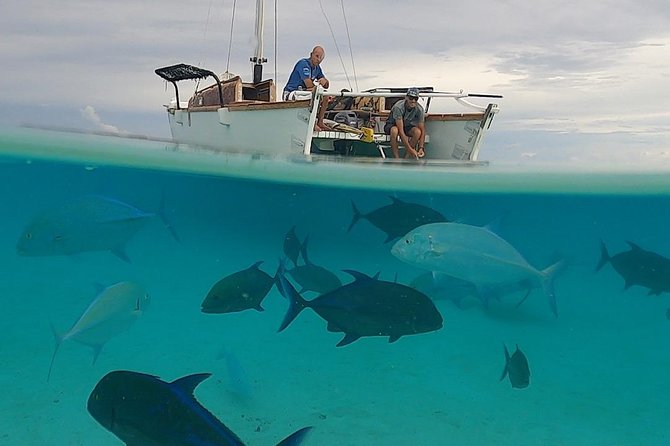 Introduction to sailing and discovering the lagoon - Is $126.32 a good value?