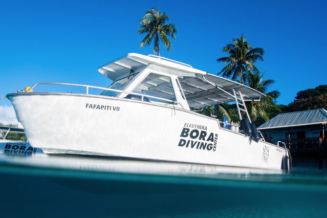 Introductory Dive in Bora Bora (afternoon) - Equipment, boat, and group size