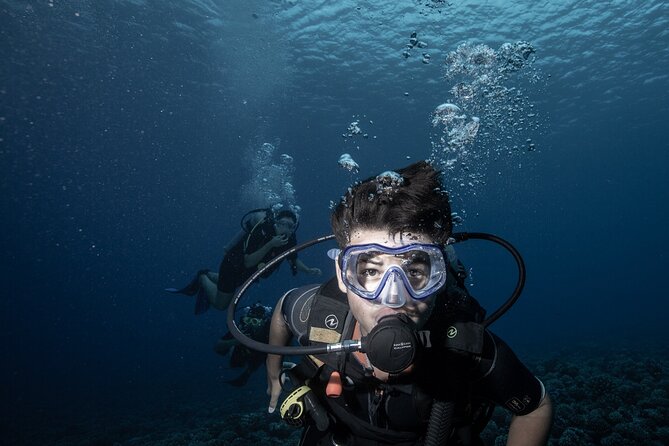 Introductory Scuba Diving Experience in Bora Bora - A gentle introduction in Bora Bora’s lagoon