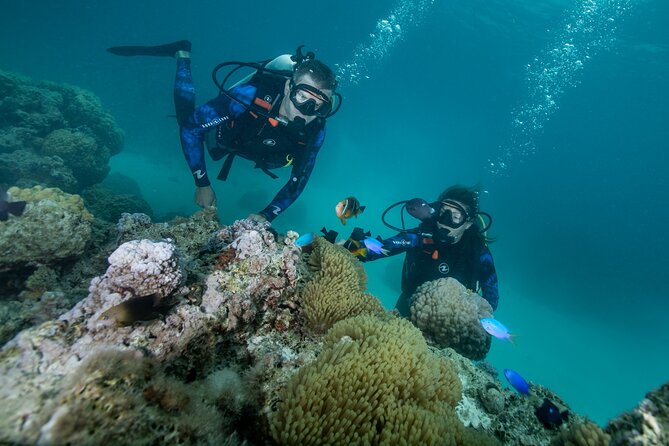 Introductory Scuba Diving Experience in Bora Bora - What happens from the 1:30 pm pickup