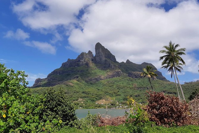 Island Tour & Getaway on the Bora Bora Mountains by Quad / ATV - Anau Rock, motus, and Mount Otemanu