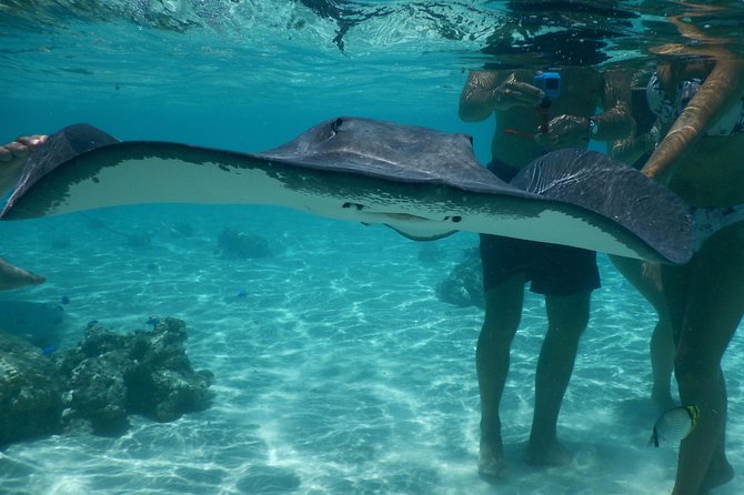 Jet-ski excursion 3 hrs Jet ski excursion to Moorea (single or two-seater) - Value at $133.61 per person