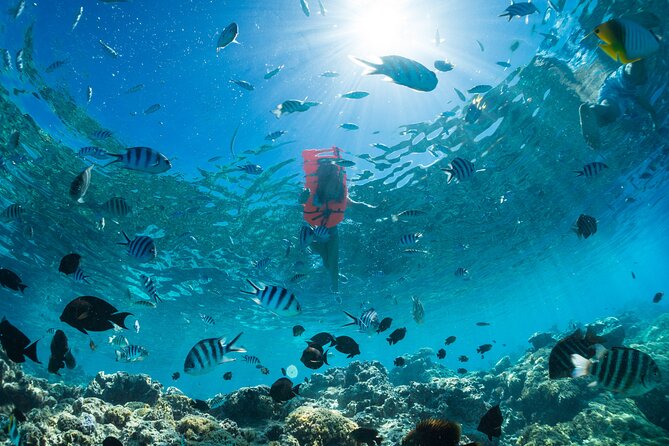 Keishi Tour Half Day Shared Excursion - Island stories between the water stops
