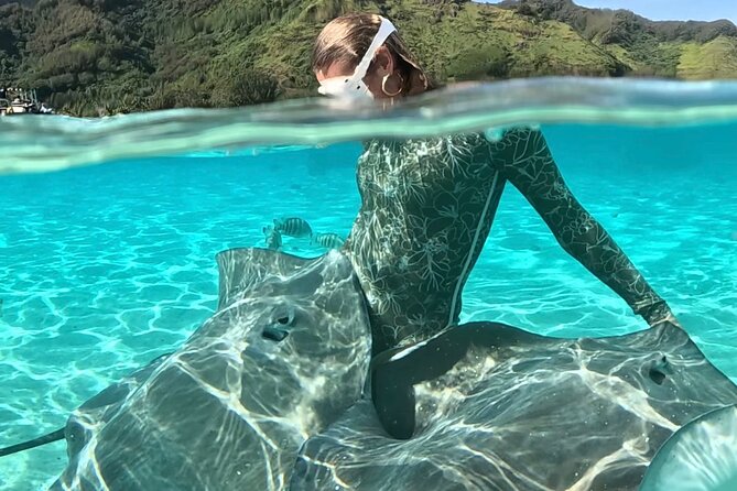 Lagoon and Marine Wildlife Tour in Moorea - Key points to know before booking