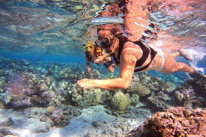 Lagoon and Marine Wildlife Tour in Moorea - Fruit and local refreshments on board
