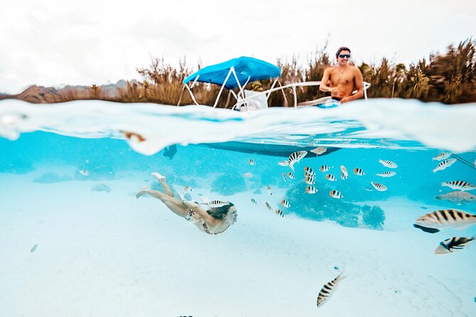 Lagoon and Wildlife Discovery on a Private Boat in Moorea - Key points to know before booking