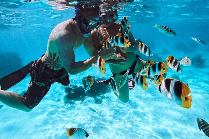 Lagoon and Wildlife Discovery on a Private Boat in Moorea - Coral gardens, motus, and a second view of the reef