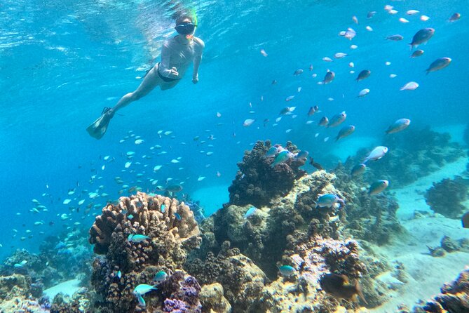 Lagoon and Wildlife Discovery on a Private Boat in Moorea - GoPro photos let you stay in the moment