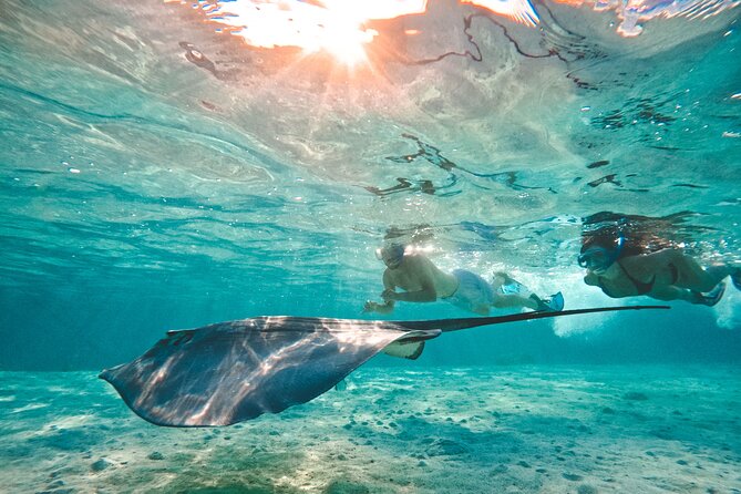Lagoon and Wildlife Discovery on a Private Boat in Moorea - Tropical fruit and fresh juice between swims