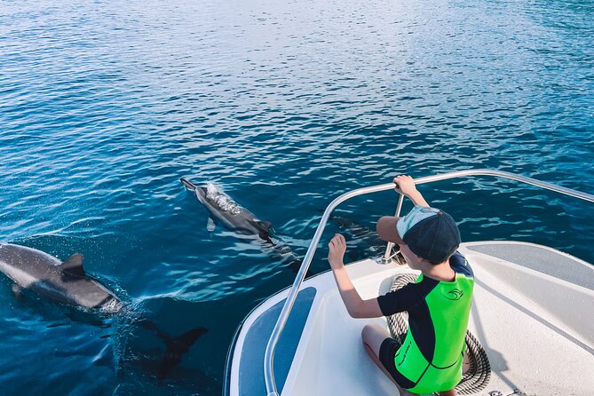 Lagoon and Wildlife Discovery on a Private Boat in Moorea - Turtles and dolphins are possible extras