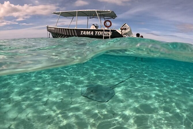Lagoon Exploration and Snorkeling in Moorea - Why Moorea’s lagoon is the star of the trip