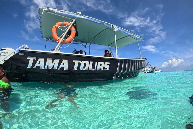 Lagoon Exploration and Snorkeling in Moorea - Rays, sharks, and sea turtles in their own home