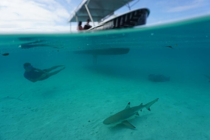 Lagoon Exploration and Snorkeling in Moorea - From Cocobeach Restaurant to the open lagoon