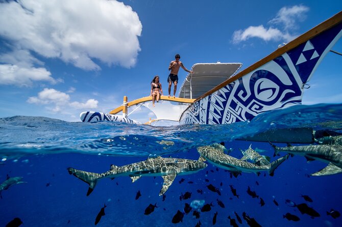 Lagoon Snorkeling Tour with Tahitian Oven Lunch in Bora Bora - Is $2,239.31 good value for two?