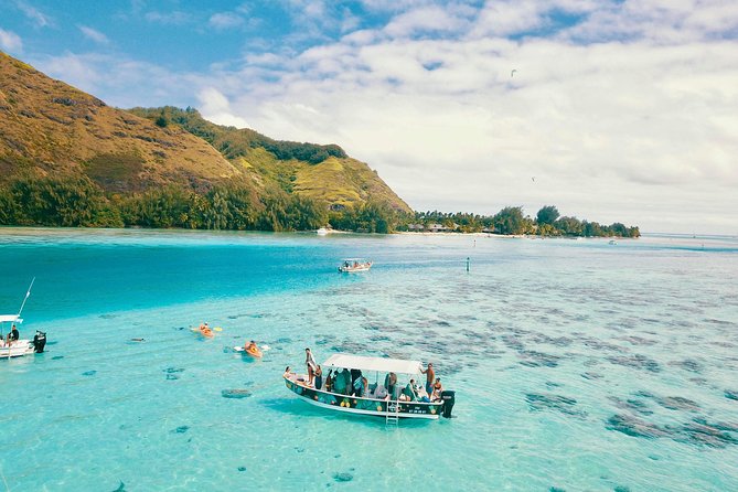 Lagoon Tour - Discover the magnificent lagoon of Moorea - Key things to know before you go