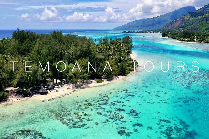 Lagoon Tour + lunch with your feet in the water on a Motu - Moorea’s lagoon, with the best moment saved for lunch