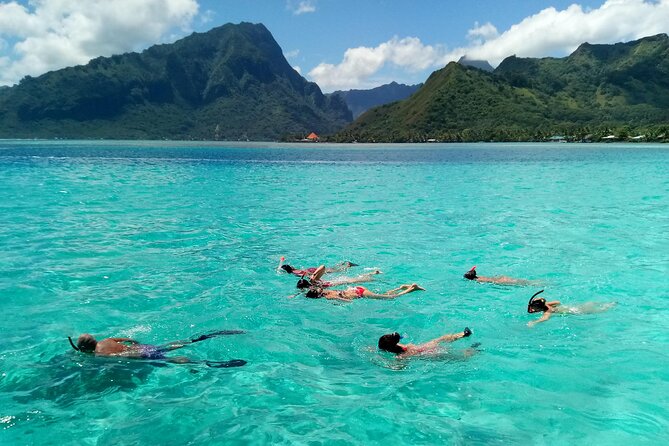 Land and Sea cultural tour to discover traditions, heritage and the lagoon - The private cultural center on land