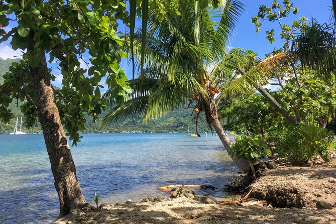 Land and Sea cultural tour to discover traditions, heritage and the lagoon - The language question you should not ignore