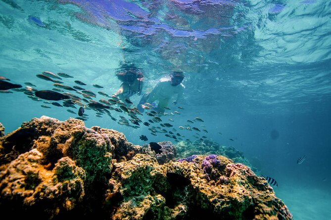 LUXURY PRIVATE Catamaran Bora Bora : Half-Day Trip - The crew and the level of service