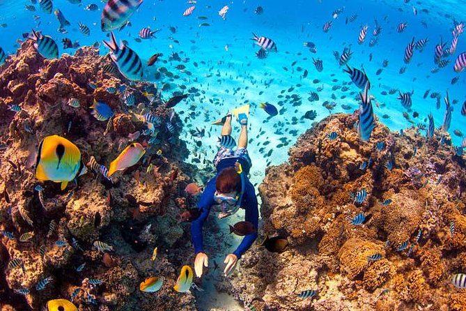LUXURY PRIVATE Catamaran Bora Bora : Half-Day Trip - Crossing Bora Bora’s lagoon and coral reefs