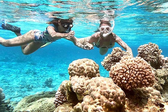 LUXURY PRIVATE Catamaran : Full-Day Sail & Polynesian Motu Lunch - The strongest service details