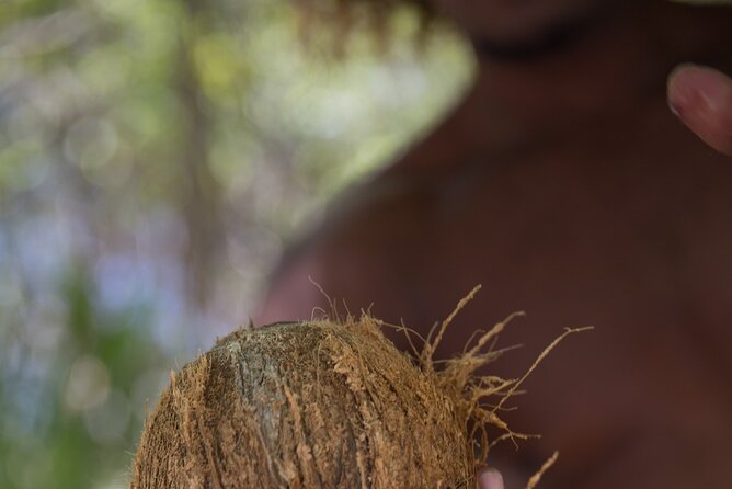 Luxury Private full day tour & Motu lunch in Bora-Bora - The motu lunch is more than a meal break