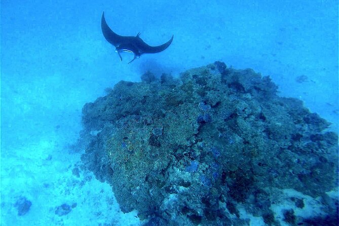 Magical Boat Tour with Underwater Cabin in Bora Bora! - Inside the air-conditioned underwater cabin