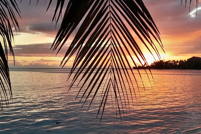 Magical Boat Tour with Underwater Cabin in Bora Bora! - Fruit skewers and a light morning spread